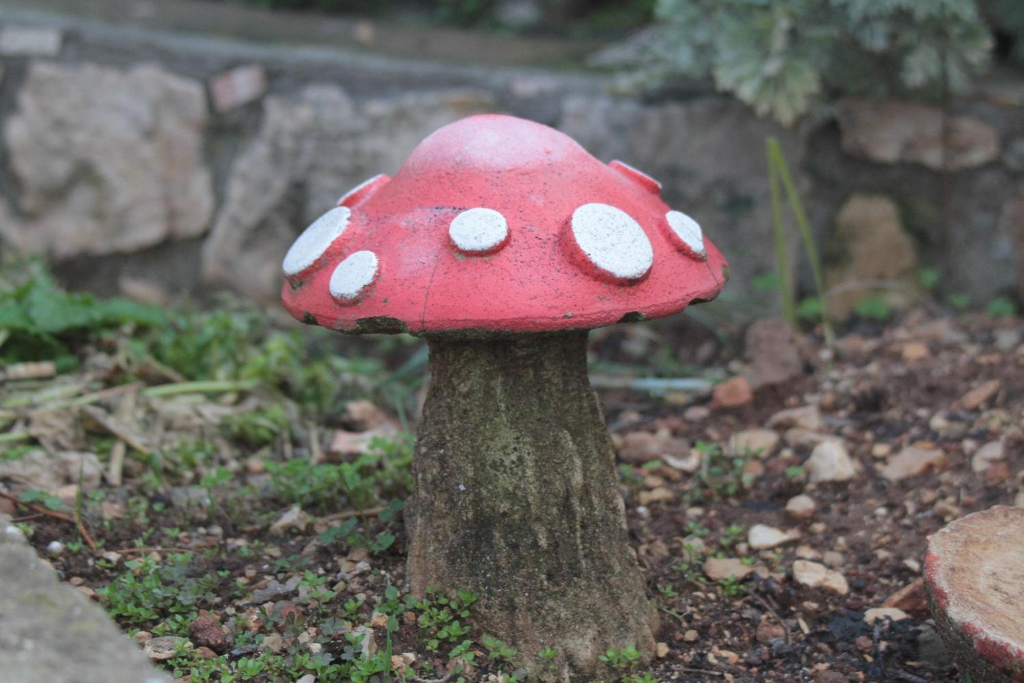 Switzerland In Amirim Villa Eksteriør bilde